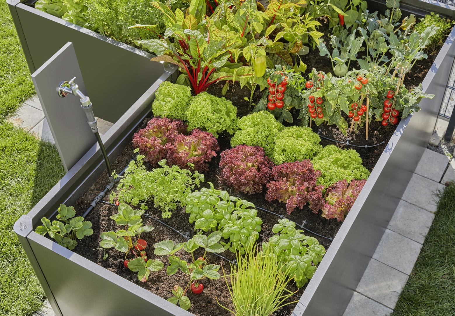 smarte_bewaesserungssysteme_gardena_smart_sensor_control_set_bild_1751888095.jpg