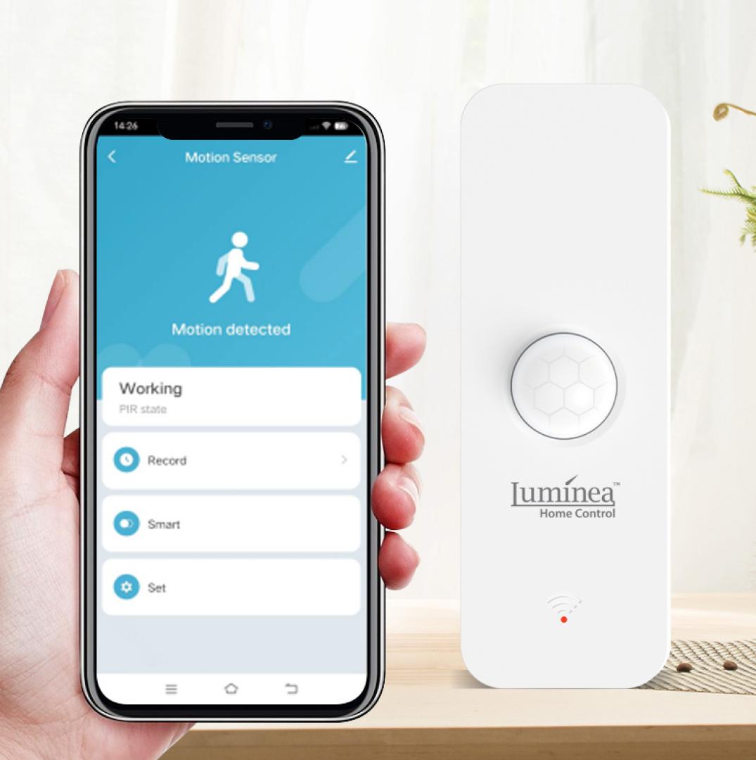 Smart Home WLAN-Bewegungsmelder: Über jede Aktion zu Hause auf dem Smartphone informiert - News, Bild 